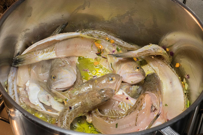 Tracina alla cacciatora copia 3.jpg