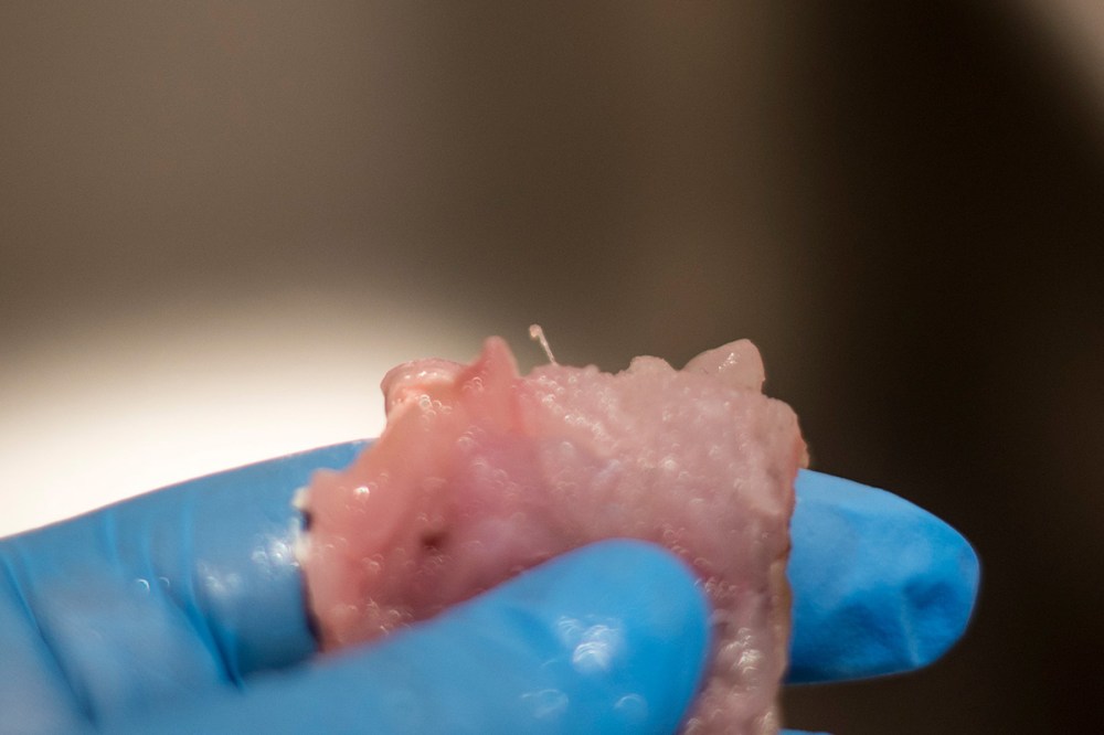 Triglie in crostini copia 3