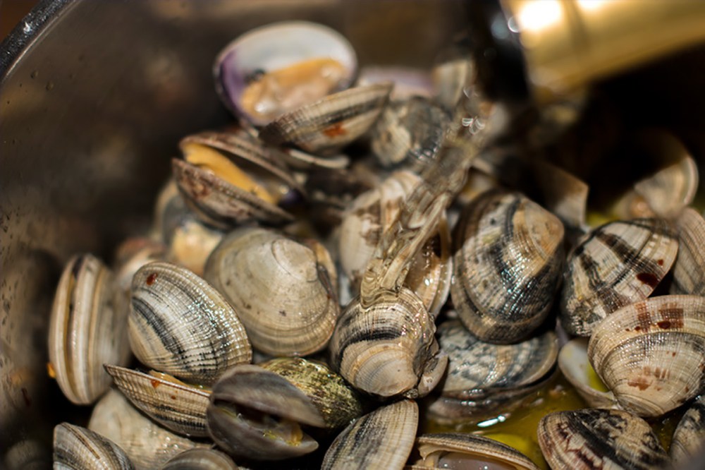 Spaghettoni con le vongole copia per blog.jpg