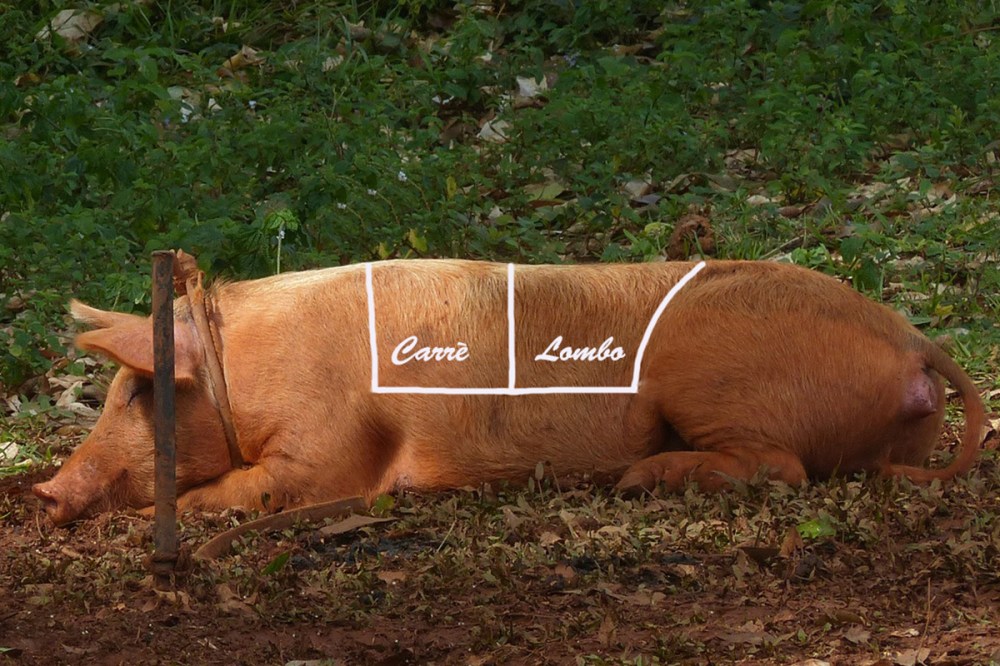 Arista di maiale per blog