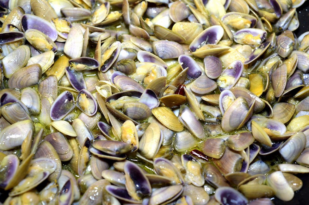 Caterina de'Medici e pasta con le telline per blog 03