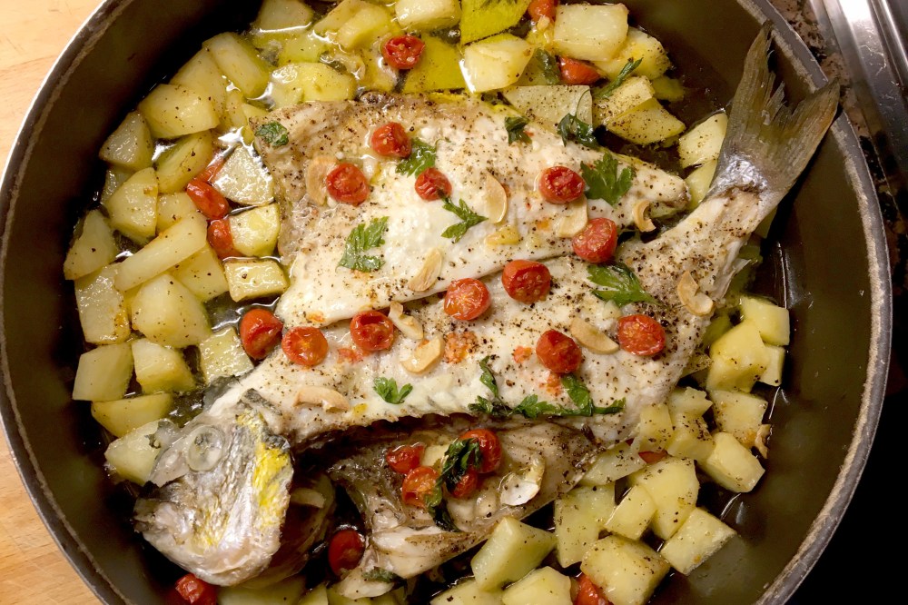 Orata double face 1.JPG