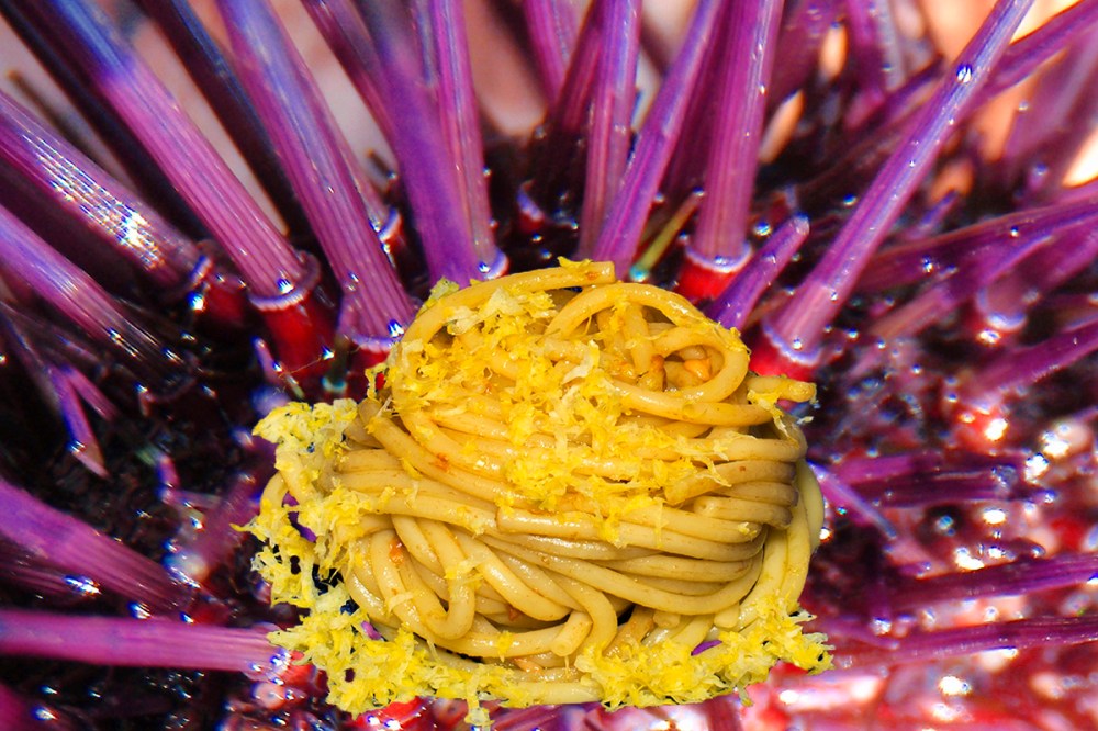 Pasta con i ricci 18.jpg