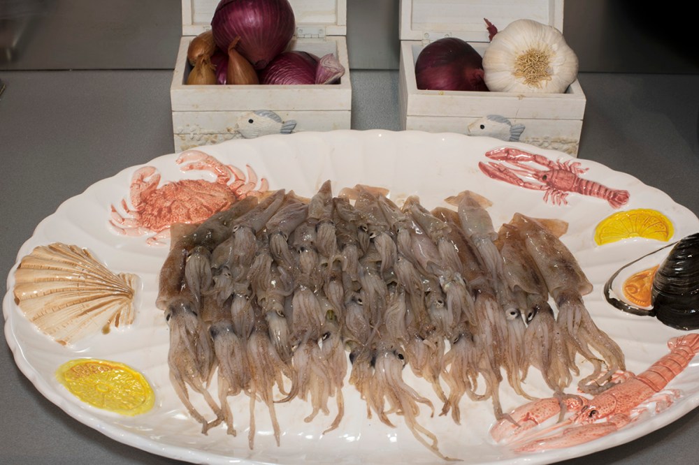 Tutto è spaghettabile.jpg