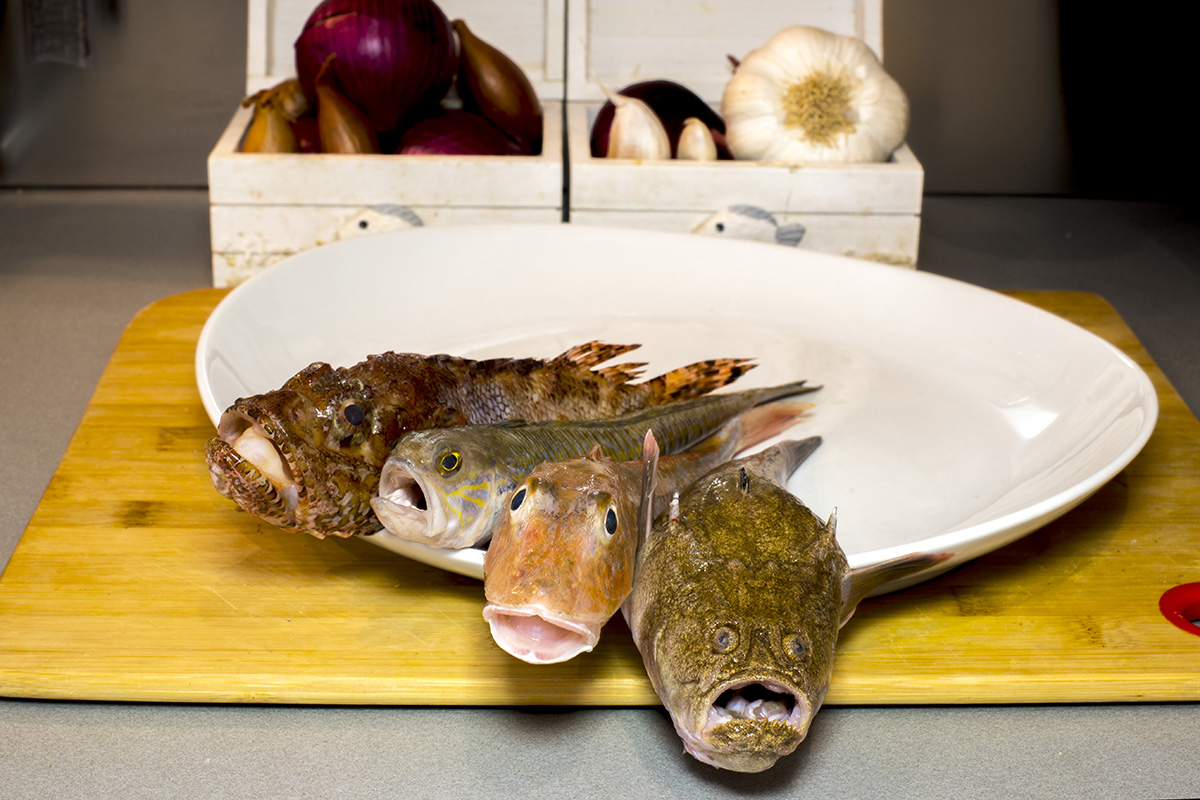 Zuppa di pesce 00.jpg