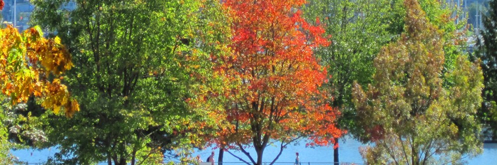 Equinozio d'autunno 01