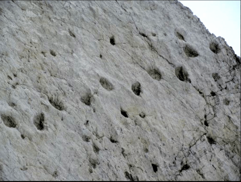 Il mare della Val Gardena 02