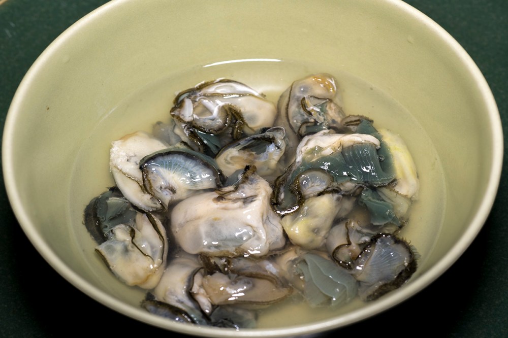 L'ostrica di Giulia 12.jpg