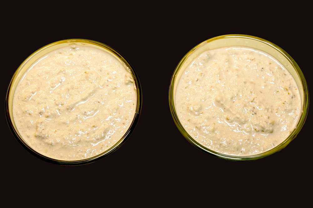 Sogliola d'autunno 12