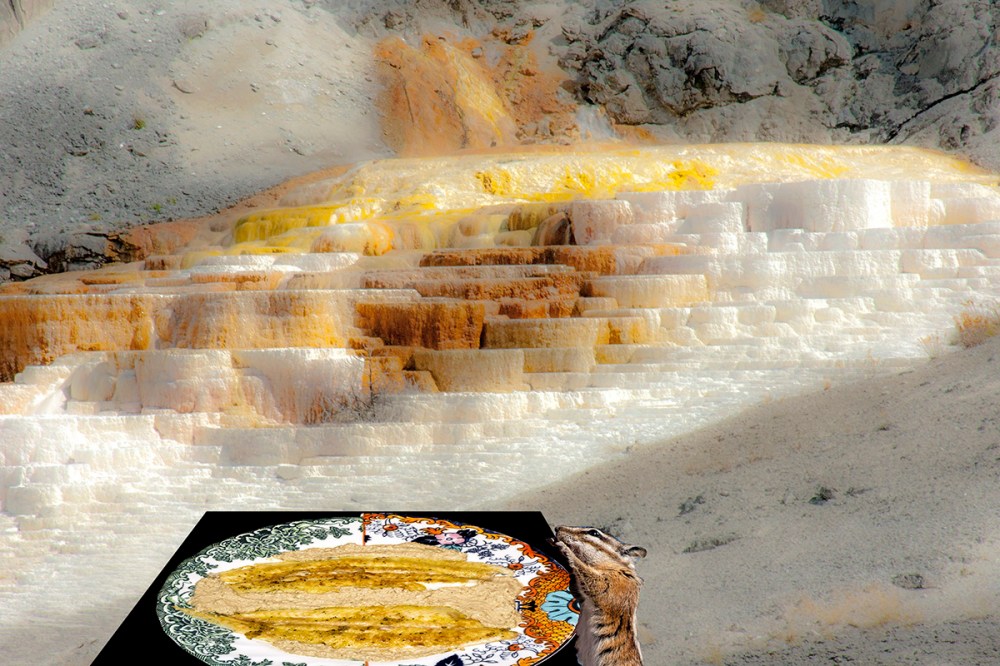 Sogliola d'autunno 30