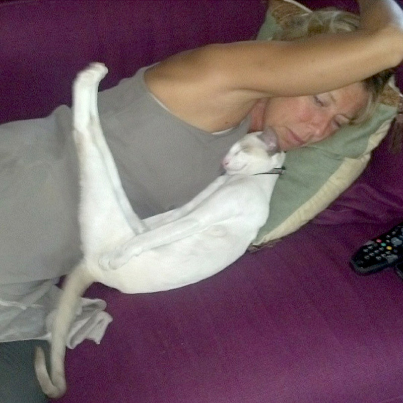 La vitella di Monica 00.JPG