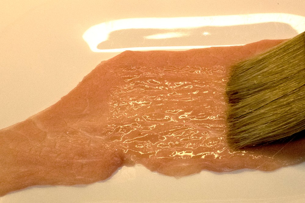 La vitella di Monica 07jpg