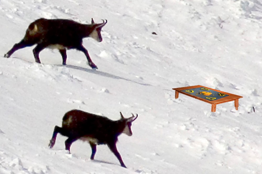 Pollo con i peperoni 30