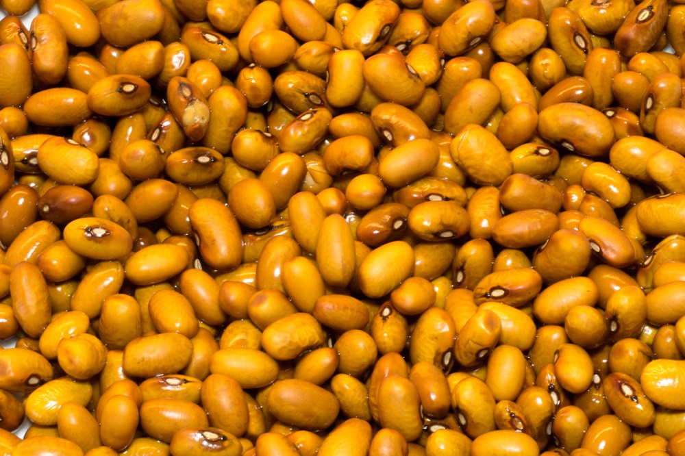 Zuppa di fagioli e lupini 06