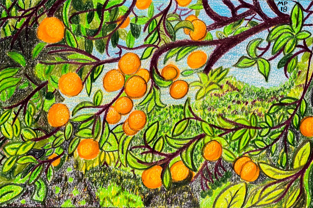 Fettuccine di calamaro con la colatura di alici 32.jpg