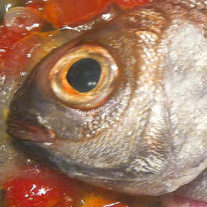 Pezzogna in guazzetto 02