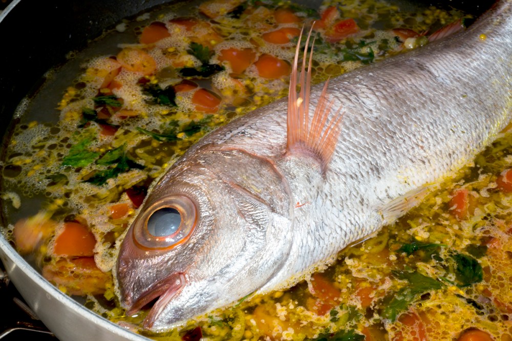 Pezzogna in guazzetto 14