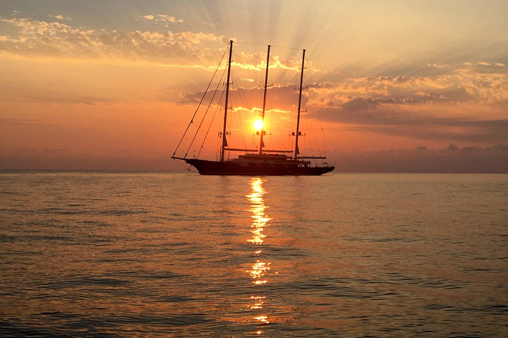 Granchio porro 2 06.jpg