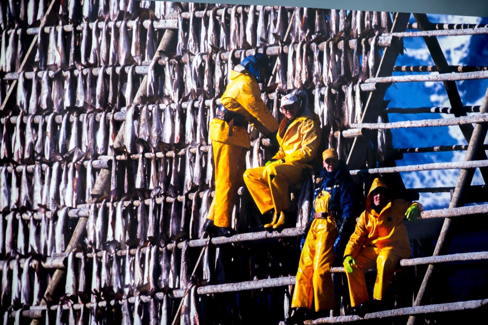 The Viking... 92.JPG